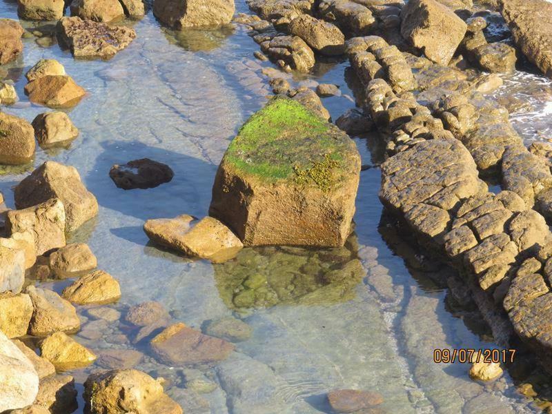 פניש Estrela Do Mar - 100M Da Praia מראה חיצוני תמונה